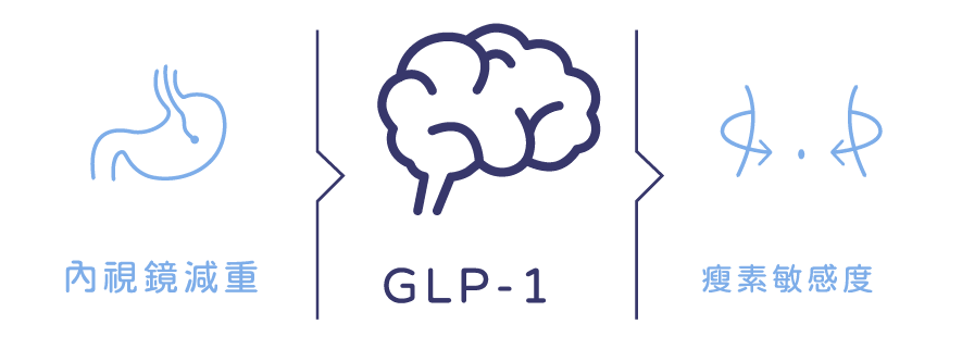 GLP-1