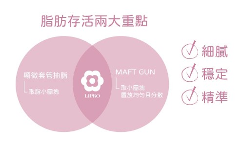 顯微套管抽脂 ft 精微自體脂肪移植槍(MAFT GUN)