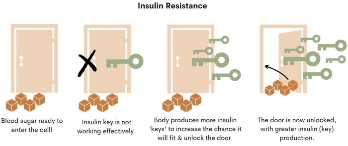 瘦不下來,胰島素阻抗,猛健樂減肥效果