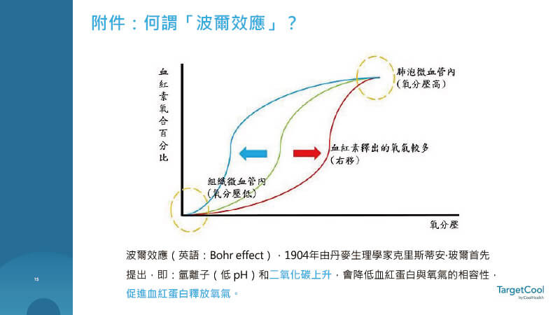 波爾效應圖示說明低pH與二氧化碳濃度上升如何促進血紅蛋白釋放氧氣，強化組織修復作用