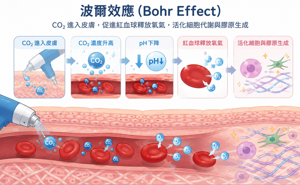 疼就酷費用,疼就酷dcard,Targetcool效果,targetcool疼就酷