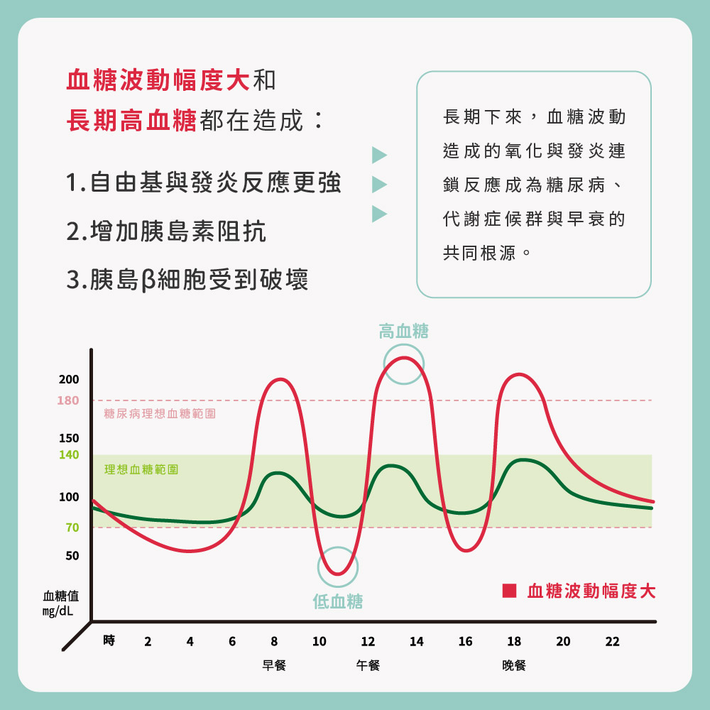血糖波動,168斷食,代謝