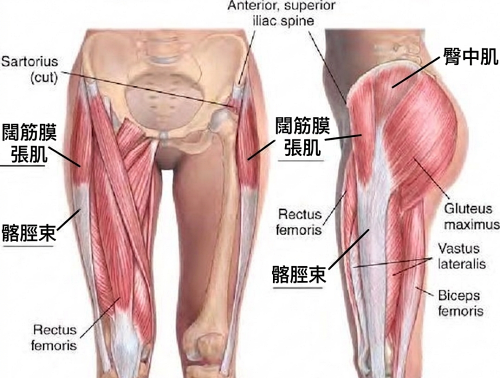 大腿外側凸一塊,大腿外側怎麼瘦,大腿外側肌肉,大腿外側