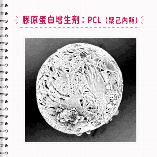 膠原蛋白增生劑比較,膠原蛋白增生劑品牌,膠原蛋白增生劑饅化,膠原蛋白增生劑dcard,膠原蛋白增生劑缺點