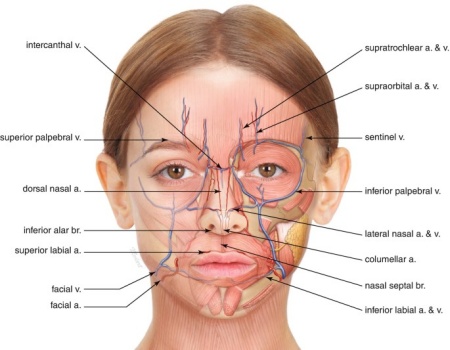 音波筋膜脆化dcard,筋膜脆化
